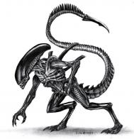 Alien