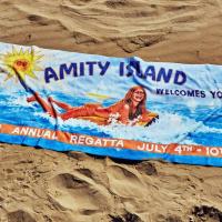 Les dents de la mer coffret cadeau amity island summer of 75 suukoo toys 3 