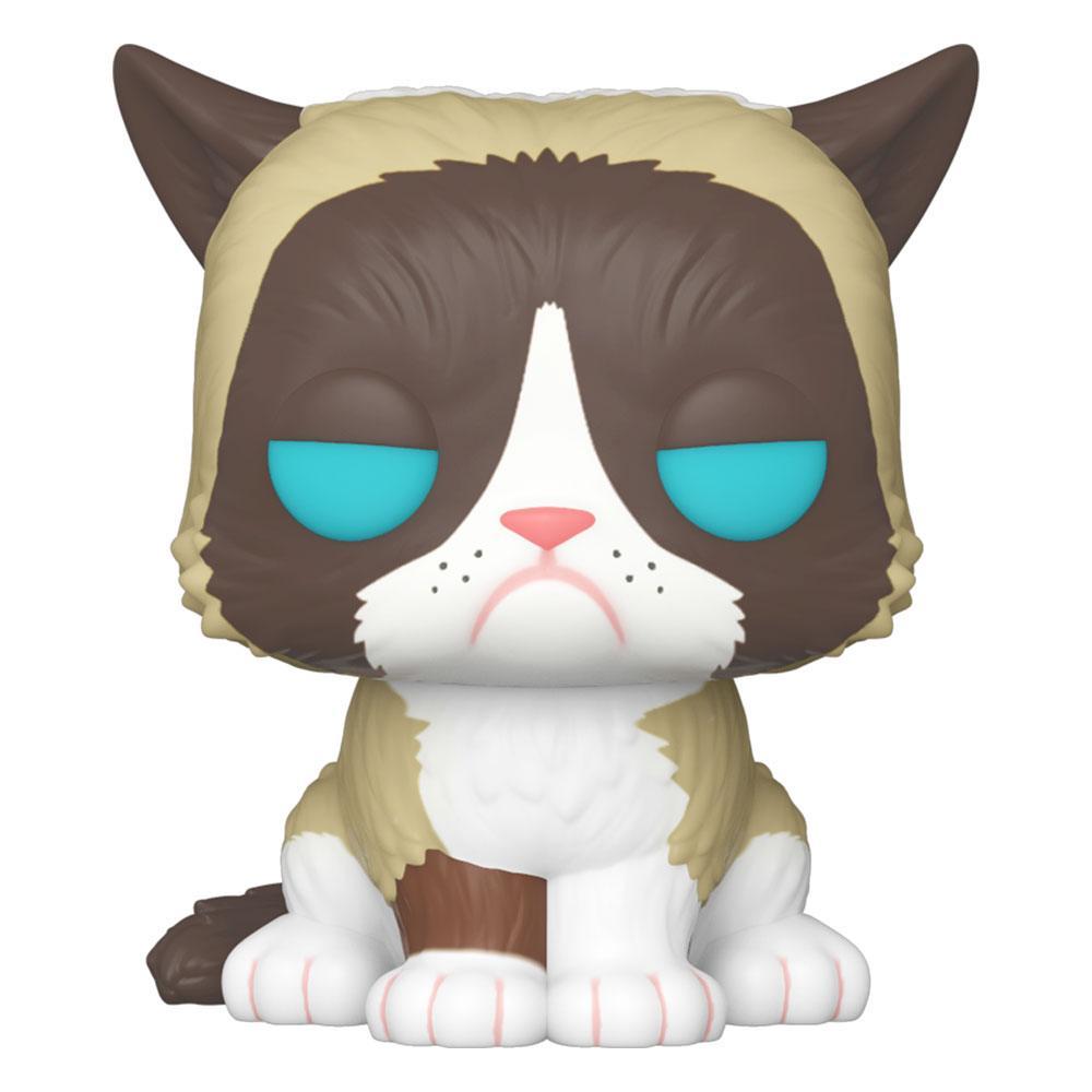Skt cat 123 741 013 555