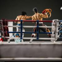 Suukoo toys ippo statue collector hajime no ippo edition limitee 450exemplaires kami arts manga boxe 16 