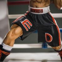 Suukoo toys ippo statue collector hajime no ippo edition limitee 450exemplaires kami arts manga boxe 7 