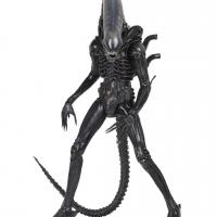 X neca51598 a