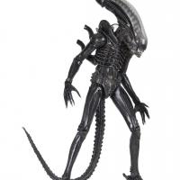 X neca51598