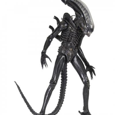 X neca51598