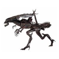 X neca51640 b 1