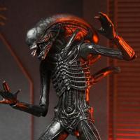 X neca51742 01 e