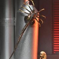 X neca51742 01 k